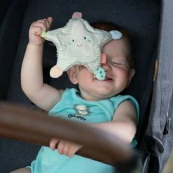 Brand new 🧨 Baby Fehn Knistertier Seestern 18 cm - Meereskinder 👍 -Toys & Gifts Store baby fehn knistertier seestern 18 cm meereskinder 054217 d4