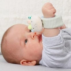 Best reviews of 👏 Baby Fehn Rassel-Armband Oktopus 16 cm - Meereskinder ✨ -Toys & Gifts Store baby fehn rassel armband oktopus 16 cm meereskinder 054255 d3