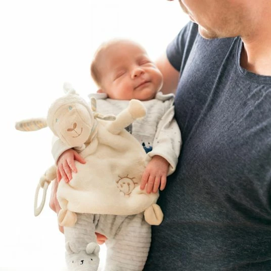 Wholesale π Baby Fehn Cuddle cloth with bite element Sheep - Baby Love π₯° 5 Wholesale π Baby Fehn Cuddle cloth with bite element Sheep - Baby Love π₯° - Image 3