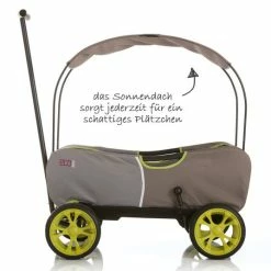 Best Pirce 🛒 Hauck Toys for Kids Handcart Eco Mobil - foldable with roof, trolley & handcart for 2 children ⭐ -Toys & Gifts Store hauck toys for kids bollerwagen eco mobil forest green faltbar mit dach transportwagen handwagen fur 2 kinder t 93108 d2
