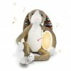 Best Sale 😀 ZAZU Kuscheltier-Nachtlicht mit Musik - Bo der Hase 🎁 -Toys & Gifts Store zazu kuscheltier nachtlicht mit musik bo der hase 14 107115 d0